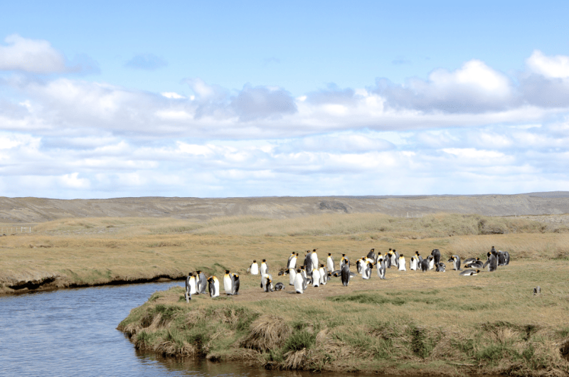 Capture d’écran 2013-11-16 à 18.03.57